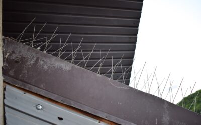 Roof Spikes for Pigeons and other Birds
